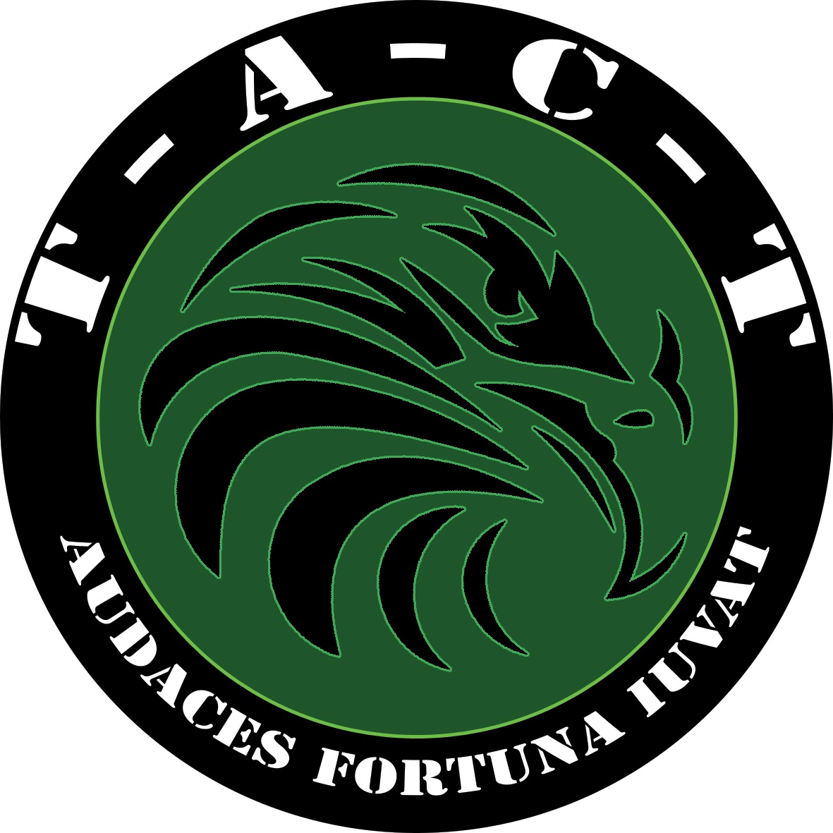 TACT patch 2013